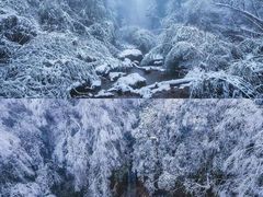 -龙苍沟森林公园