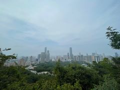 -富斯特索道