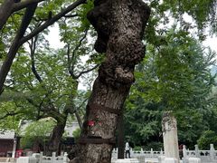 -潭柘寺景区