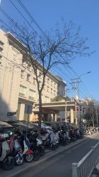 -白金汉爵大酒店·宴会厅