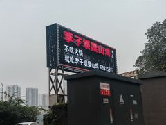 -李子坝梁山鸡(李子坝大鸡哥店)