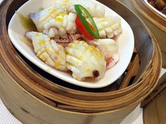 黄椒蒸鲜鱿-春满园·早茶·粤菜·宴会(前海店)