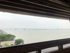 -大湾区中央湿地公园