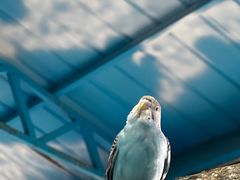 -宿豫区运河湾森林动物园