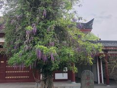 -仙游寺