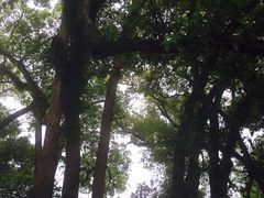 -蒋氏故居