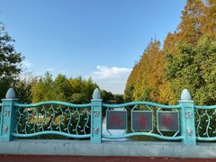 -上海长兴岛郊野公园