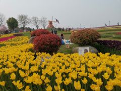 -杭州湾海上花田景区