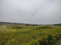 -光明小镇欢乐田园
