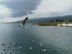 -青海湖国家重点风景名胜区