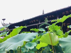 -宝光寺