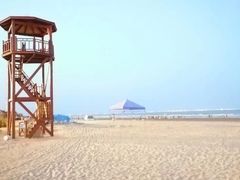 -日照海滨国家森林公园