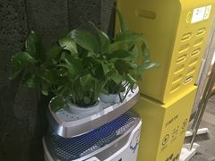 -番食园鲜食火锅(高新店)