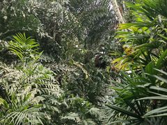 -郑州植物园