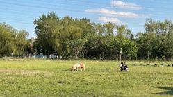 -268童话露营农场·烧烤·团建