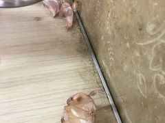 -刘记大肉面(三牌楼大街店)