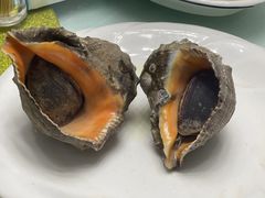 -金海湾海鲜排档(朱家尖店)