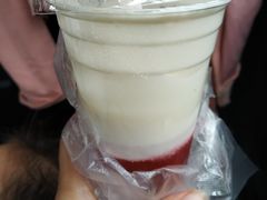 -飞行喵MR PILOT|猫舍·猫咖(静安大融城店)