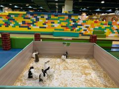 -嘉文梦想世界(SM天津滨海城市广场店)