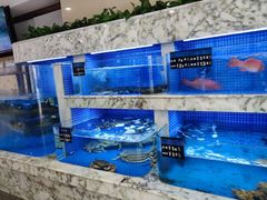 水产区-香山湖渔家大院