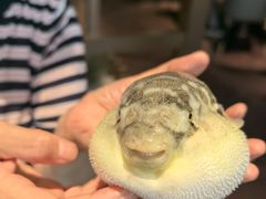 -肆月河豚·淮扬菜·湘菜(华天店)
