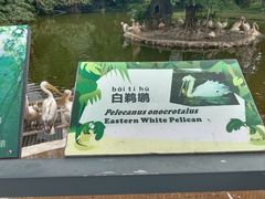 -深圳野生动物园