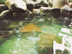 -张家港金凤凰度假村温泉