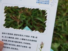 -上海吴淞炮台湾国家湿地公园
