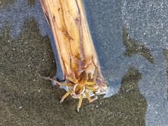-浪琴湾度假村