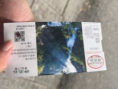 -炎陵县神农谷国家森林公园