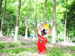 -后襄河公园