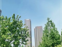 -大望京公园