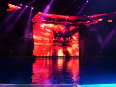 -芜湖新华联大白鲸海洋公园