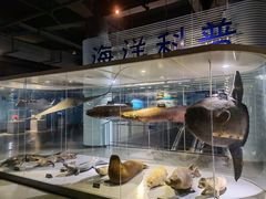 -泉城欧乐堡海洋极地世界