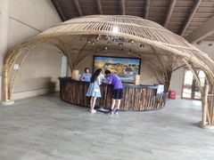 -乌村