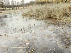 -马家湾湿地公园