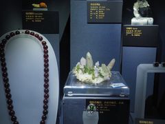 -湖南省地质博物馆