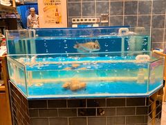 水产区-yokocho上横町·日本食街(深业上城店)