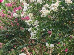 -杭州城北体育公园