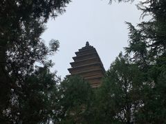 -洛阳白马寺