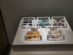 -南越王博物院(王宫展区)