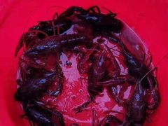 -梁鸿国家湿地公园