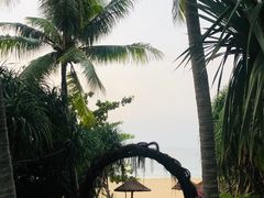 -三亚亚龙湾红树林度假酒店