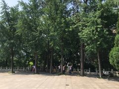 -放鹰台遗址