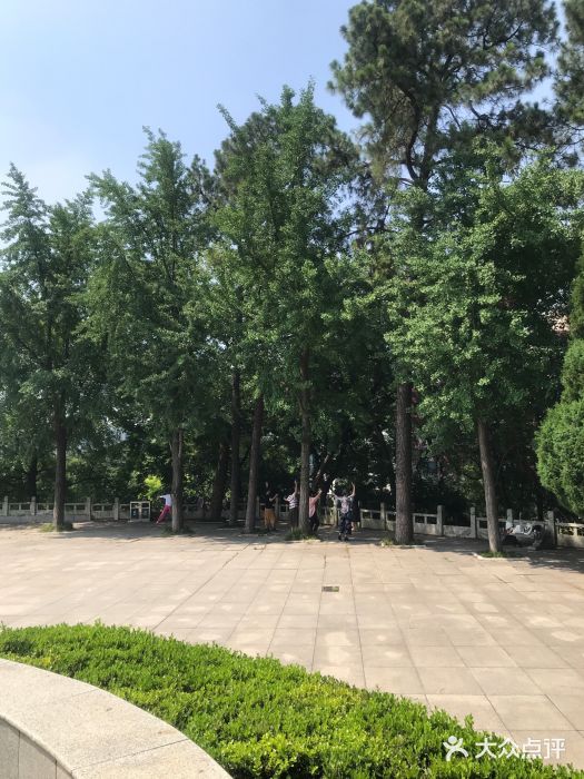 放鹰台遗址图片