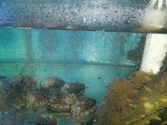 -三乐海鲜水饺馆