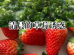 -兰溪青年公园