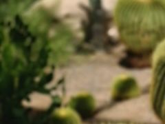 -北京植物园-展览温室