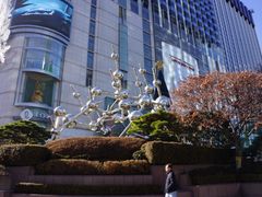 -乐天免税店(明洞店)
