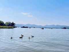 -西湖外事游船(湖滨二公园外事游船码头)